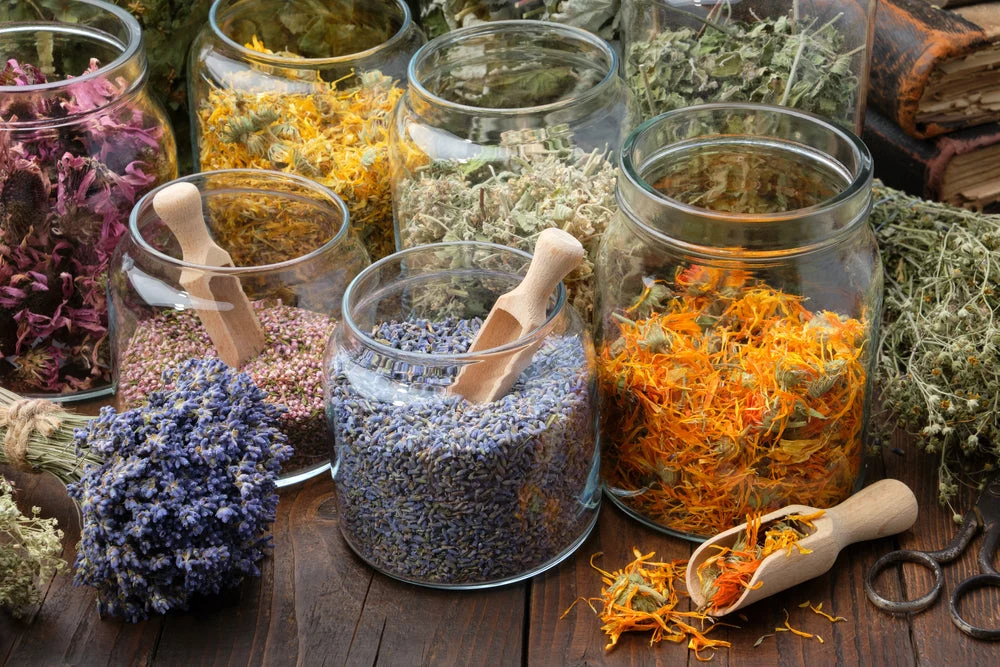 African Voodoo Ancestral Healing Potions